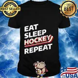 Eat Sleep Hockey Repeat Gift Premium T-Shirt