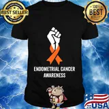 Endometrial Cancer Awareness Peach Ribbon Support Women Gift T-Shirt
