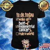 Funny Beat Endometrial Cancer Rule the World - Survivor Gift T-Shirt