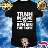 Train Insane Or Remain The Same T-Shirt