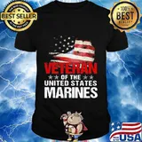 Veterans of the united states marines american flag stars shirt