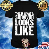 Breast Cancer Awareness Survivor Gift T-Shirt