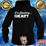 I'm speaking ... okay biden harris for president s Hoodie