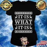 It is what it is ugly christmas sweater party s Ladies tee
