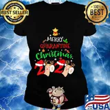 Merry quarantine christmas 2020 toilet paper s Ladies tee