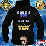 No need to be trump to get your triumph biden wins 2020 s Hoodie