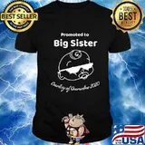 Promoted To Big Sister Funny Quarantine 2020 Baby Shirt