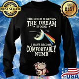 The child is grown the dream is gone i have become comfortably numb s Sweater