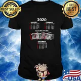 Chart Year 2020 Quarantine Statistics Calendar Day Shirt