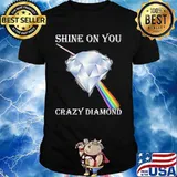 Shine On You Crazy Diamond Ruby Lgbt Pink Floyd Shirt