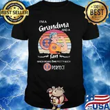 I Am A Grandma And A Illinois Fighting Fan Which Means I Am Pretty Much Perfect Shirt