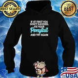 IF AT FIRST YOU DONT SUCCEED FIX YOUR PONYTAIL FIRST AND TRY SHIRT Hoodie