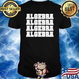 Algebra Math Teacher T-shirt