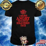 I am not angry this is just my heathen face skull shirt
