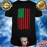 Pan African US American Flag Liberation T-Shirt