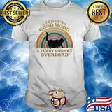 Todays good moon a furry chonky overlord cat rainbow vintage shirt