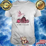 Breast Cancer Awareness In October We Wear Pink Hummingbird T-Shirt