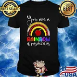 You Are A Rainbow Of Possibilities - Cute Teacher T-Shirt