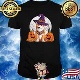 Corgi Mom Ever Funny Halloween Corgi Pumkin Witch Hat Shirt