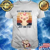 Eff You See Kay Why Oh You Vintage Llama Yoga V- T-Shirt