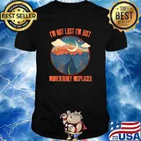 I'm Not Lost I'm Just Momentarily Misplaced Exploring T-Shirt