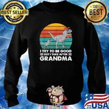 I Try To Be Good But I Take After My Grandma Dinosaur Vintage SUnset T-Shirt Sweater