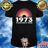 Protect Roe V. Wade 1973, Pro Choice T-Shirt