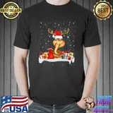 Original funny Xmas Lighting Reindeer Santa Hat Snake Christmas T-s Unisex