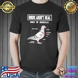 Birds Arent Real Make Up America Essential T-shirt