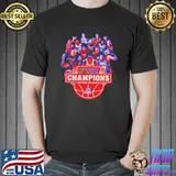 Arizona wildcats 2022 pac 12 champions shirt