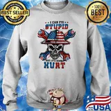 I Can Fix Stupid But It's Gonna Hurt Skull Shirt Sweater