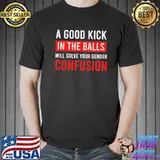 A Good Kick In The Balls Will Solve Your Gender Confusion Shirt