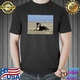 Bernese mountain dog laying on beach T-Shirt