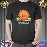 Pink Floyd 1994 vintage band classic shirt