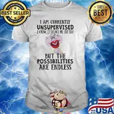 I Am Currently Unsupervised But The Possibilities Are Endless Shirt
