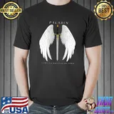 Paladin for when you need to smile your problem wing T-Shirt