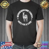 Be a buddy not a bully unity day antI bullying orange kids shirt