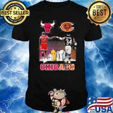 Chicago Bulls and Chicago Bears Jordan Payton signatures shirt