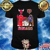Chicago Bulls Bears Chicago sport shirt