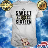 2023 Sweet Sixteen Iowa Hawkeyes Women’s Basketball The Road To The Final Four Shirt