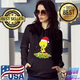 Duck Christmas light s Hoodie