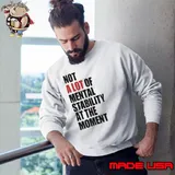 Philip Minter Not A Lot Of Mental Stability At The Moment s Sweatshirt