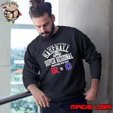 Lenoir-Rhyne vs Catawba 2025 Division II Baseball Super Regional Sweatshirt