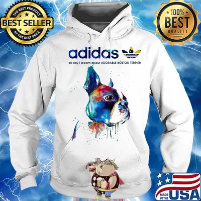 Adidas all day I dream about Adorable Boston Terrier life s Hoodie