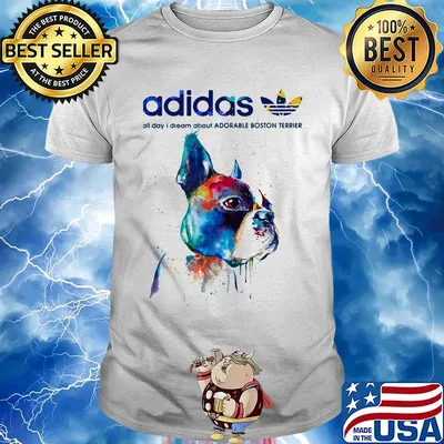 Adidas all day I dream about Adorable Boston Terrier life shirt
