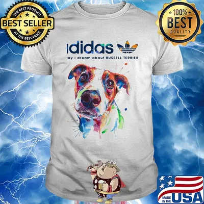 Adidas all day I dream about Russell Terrier dog shirt