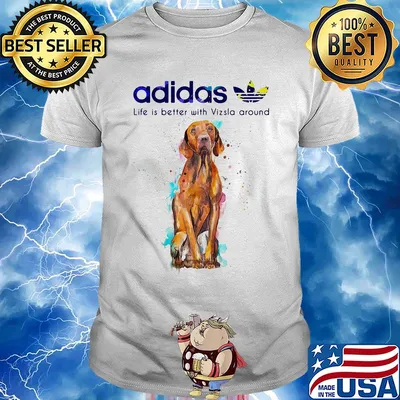 Adidas all day I dream about Vizsla around shirt