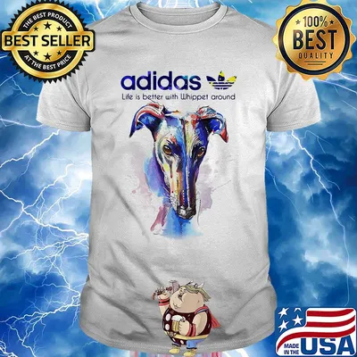Adidas all day I dream about Whippet around Coloful shirt