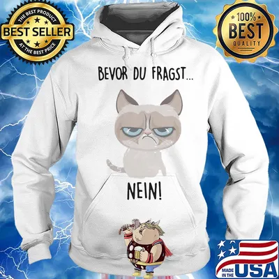 Bevor du fragst nein Cat s Hoodie