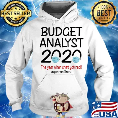 Budget analyst 2020 the year when shit got real quarantined covid-19 s Hoodie